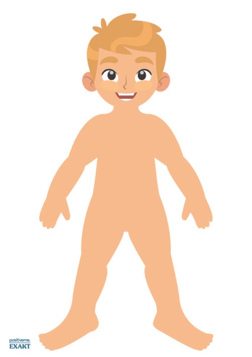 Drengekrop - anatomi - hele kroppen