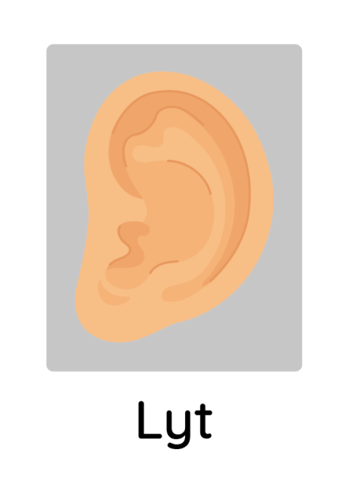 Stort piktogram - Adfærdsguide, Lyt 1