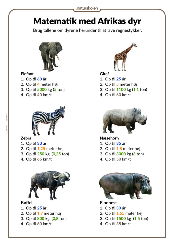 Opgave med Afrikas dyr - matematik_CMYK