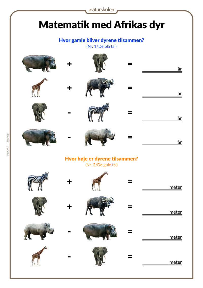 Matematik med Afrikas dyr - Udeskolen - Billede 6