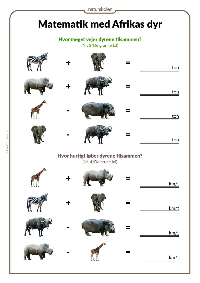 Matematik med Afrikas dyr - Udeskolen - Billede 4