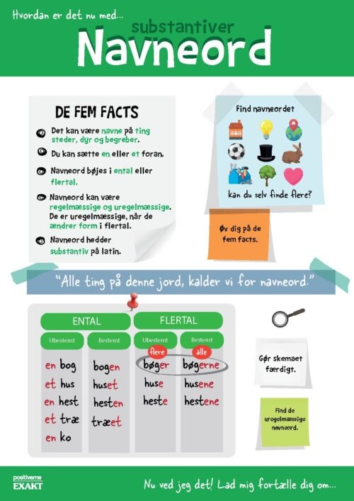 Navneord - Facts og regler